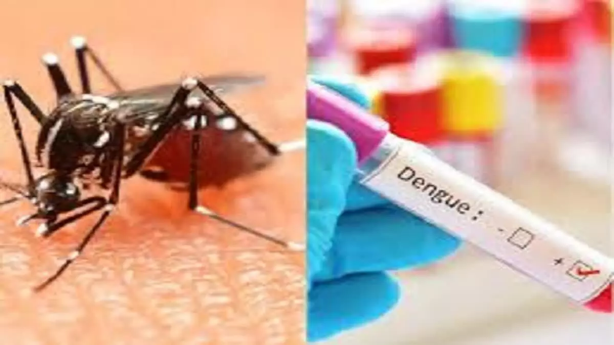 Almora: डेंगू का संदिग्ध मरीज भर्ती, रैपिड कार्ड टेस्ट में आया पॉजिटिव