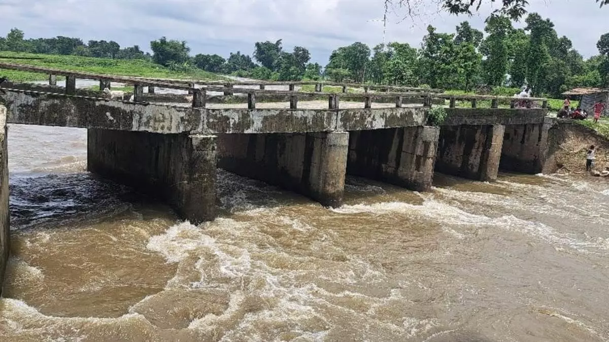 Begusarai: 12 पुलों को तत्काल मरम्मत की जरूरत