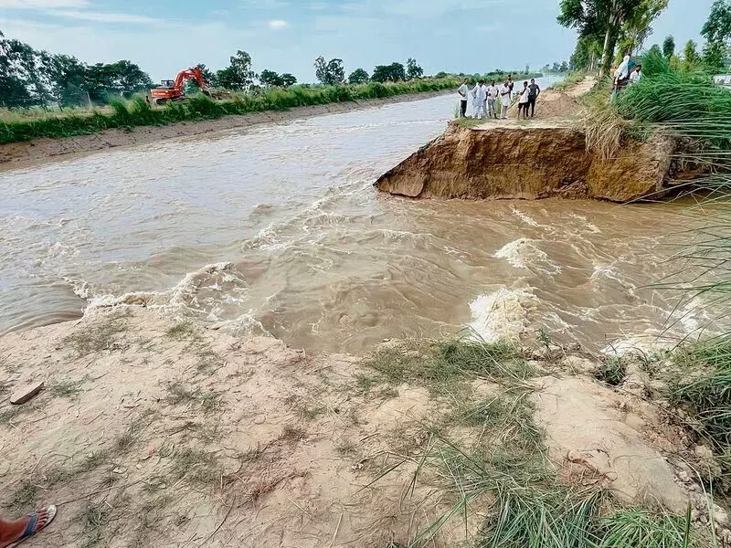 Haryana : सोनीपत में सुंदर ब्रांच नहर में 50 फीट की दरार, 500 एकड़ जमीन जलमग्न