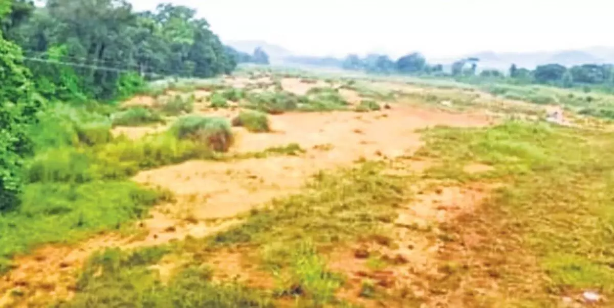 Odisha के गंजम में कम बारिश से सूखे की आशंका