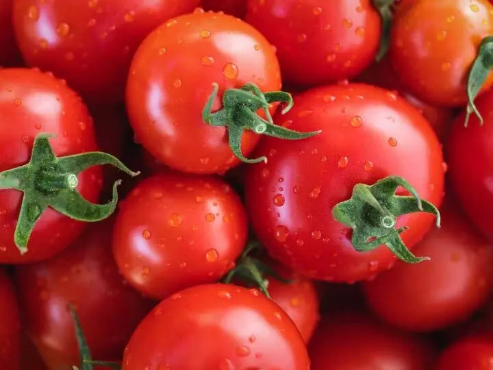 Tomatoes रोजाना सेवन करने से जबरदस्त स्वास्थ्य लाभ मिलेगा