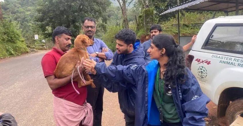 KERALA : भूस्खलन प्रभावित वायनाड में खोए पालतू कुत्ते खाना खाने और गांव छोड़ने से कतरा रहे