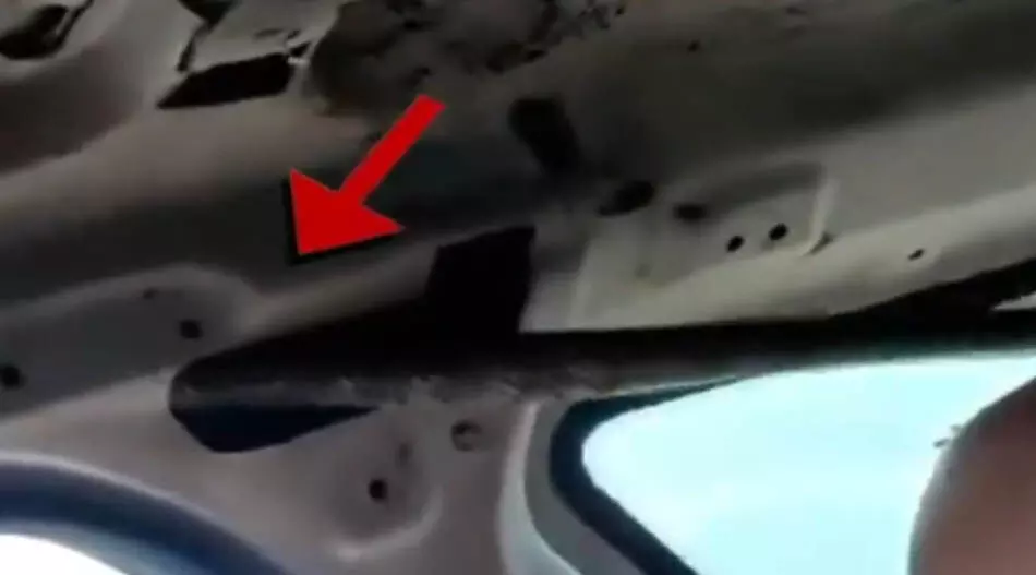 कार में छिपा था 6 फीट लंबा सांप, ड्राइवर की अटकी सांसे, फिर...VIDEO