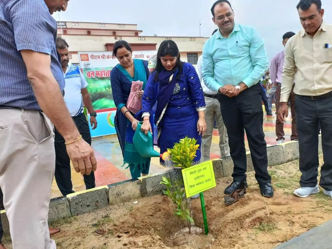 Jalore: जिला कलेक्टर ने पीएम केंद्रीय विद्यालय में पौधारोपण कर प्रकृति संरक्षण