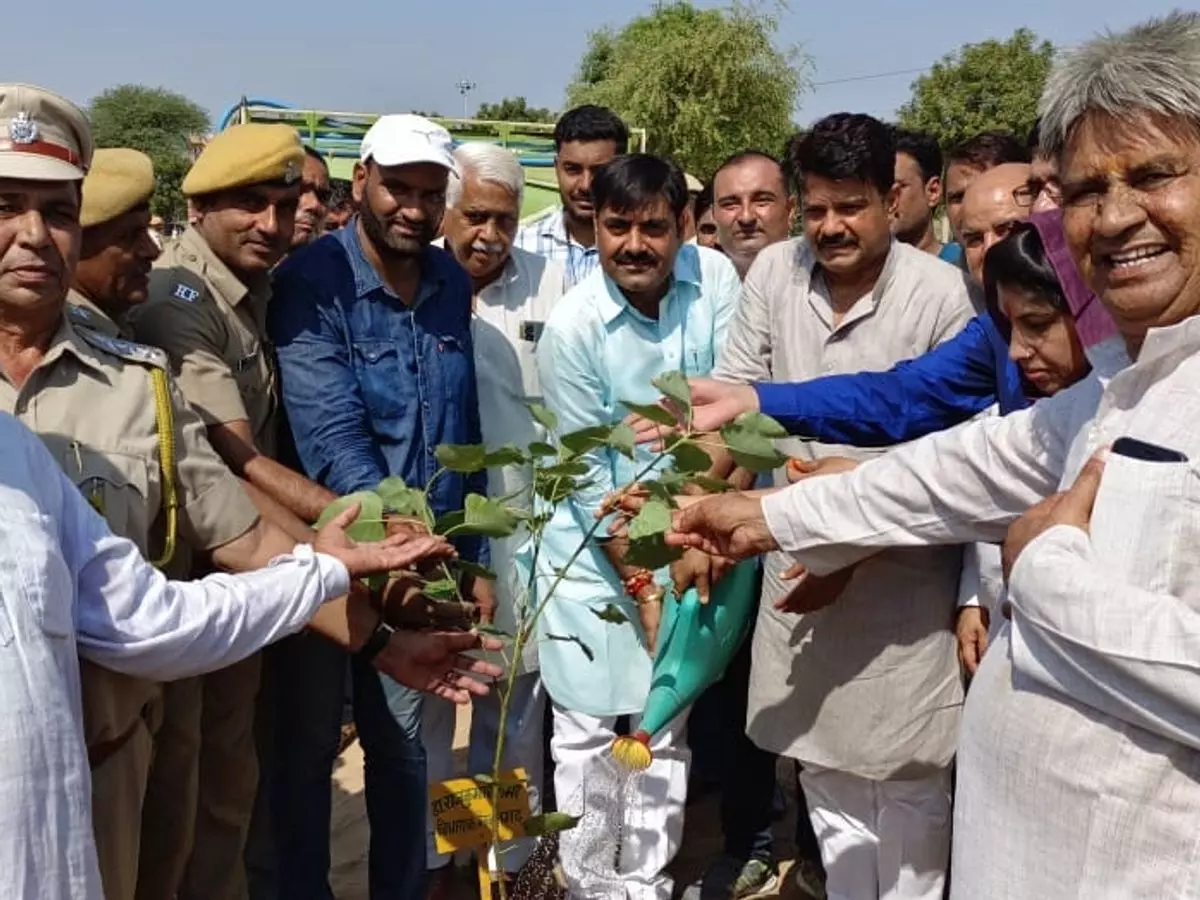 Jhunjhunu: 7 अगस्त को मनाया जाएगा जिला स्तरीय वन महोत्सव