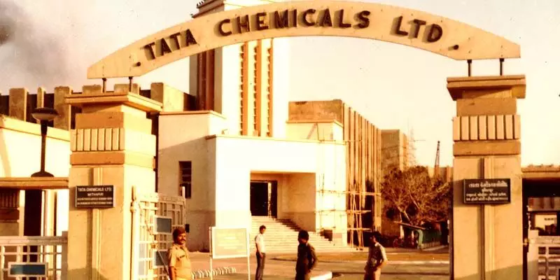 Tata Chemicals के Q1FY25 परिणाम जानें