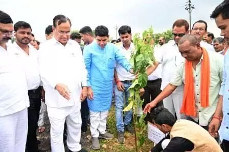 राजस्व मंत्री ने एक पेड़ अपनी मां के नाम अभियान अंतर्गत खम्हार पेड़ का किया रोपण