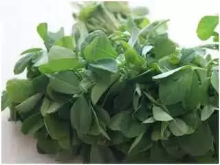 Kitchen Tips: इस मेथी का ऐसे करे इस्तेमाल, सब्जी बनेगा लाजवाब