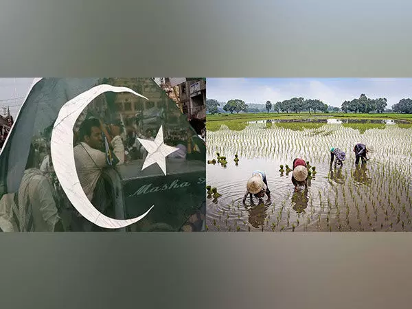 Khyber Pakhtunkhwa के किसानों ने जलविद्युत परियोजनाओं को खारिज किया