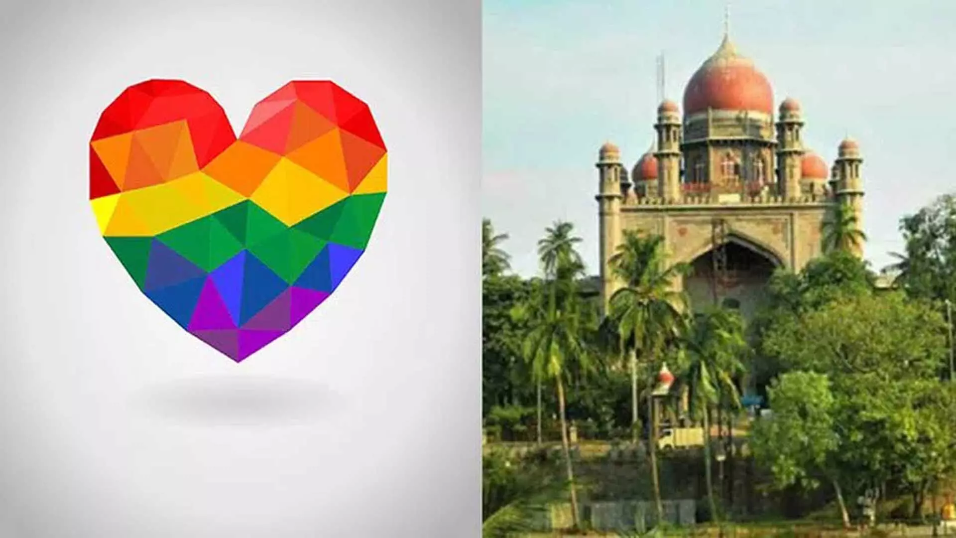 Jaipur की महिला ने HC में ‘समलैंगिक साथी’ के लिए बंदी प्रत्यक्षीकरण याचिका दायर की