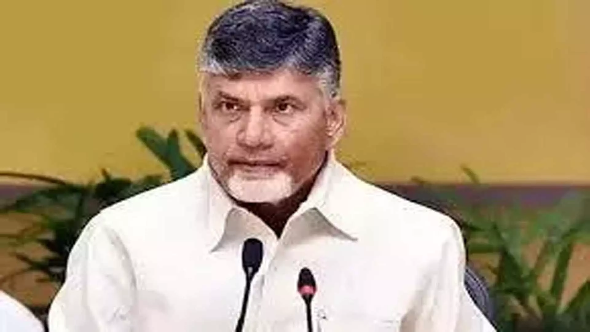 Naidu हर महीने की पहली तारीख को पेडाला सेवलो की योजना बना रहे