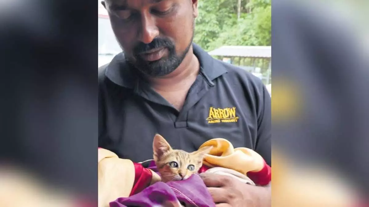 Kerala : वायनाड में संकट में फंसे जानवरों को मदद के लिए हाथ मिला