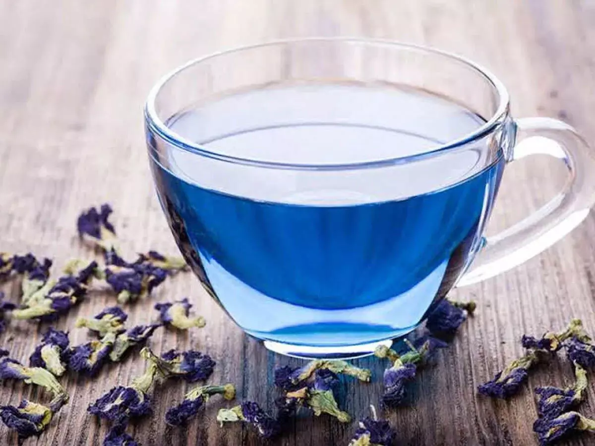 Blue Tea: हेल्थ सेहत से जुड़ी अनेक समस्याओं से राहत है ब्लू टी