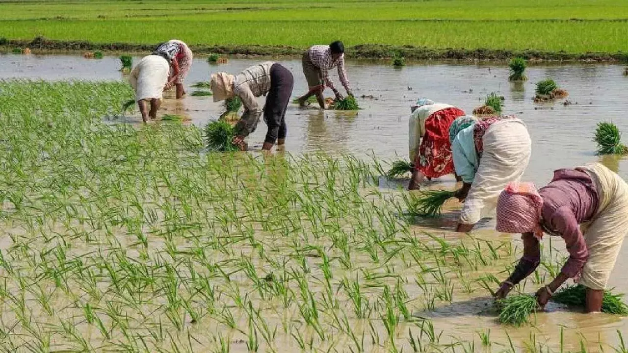 Kakani: किसानों को वित्तीय मदद दी जाए