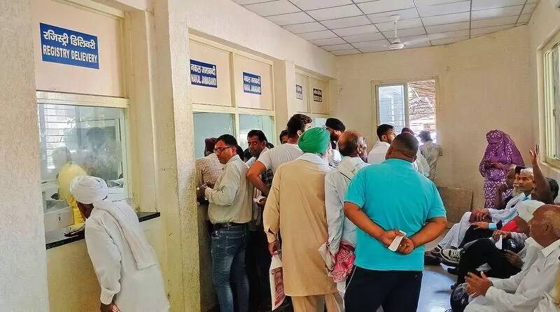 Haryana : 19 दिन की हड़ताल के बाद कंप्यूटर ऑपरेटर काम पर लौटे