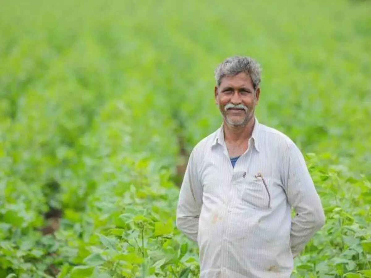 Andhra Pradesh सरकार रायथु बंधु योजना को पुनर्जीवित करने पर विचार कर रही