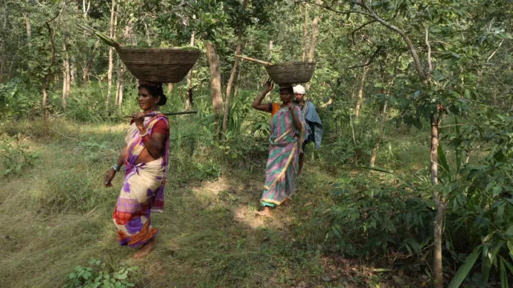 Vizianagaram: वन भूमि पर पट्टों के लिए आदिवासियों का धरना