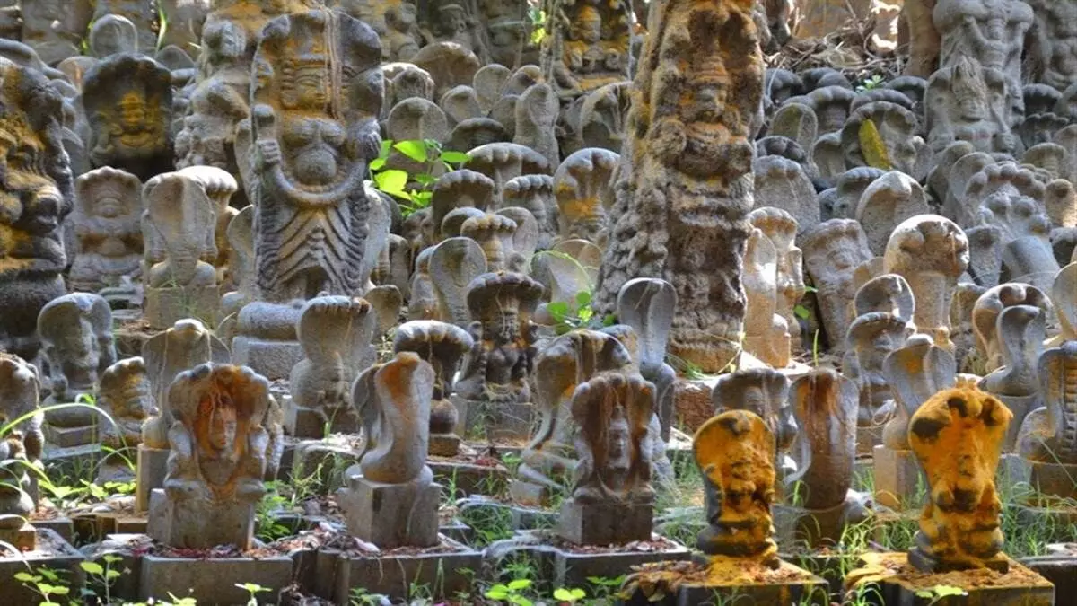 Mannarasala Snake Temple जहां हजारों नाग प्रतिमा, पूरी होती है मनोकामना