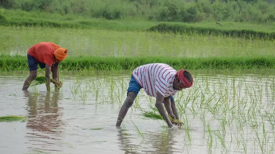 Nalanda: आधा दर्जन प्रखंडों के किसानों के लिए अच्छी खबर