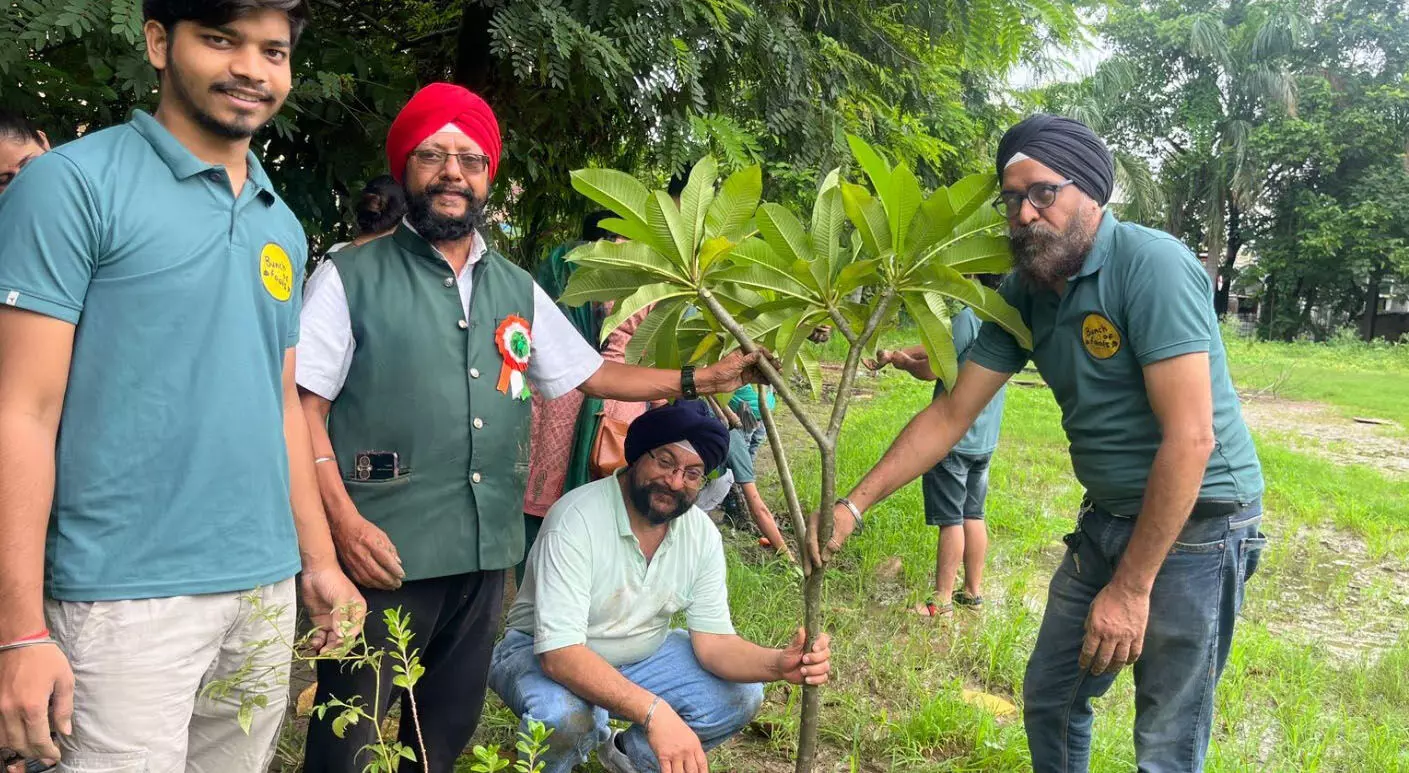 ग्रीन आर्मी संस्था द्वारा वृक्षारोपण का कार्य निरंतर जारी