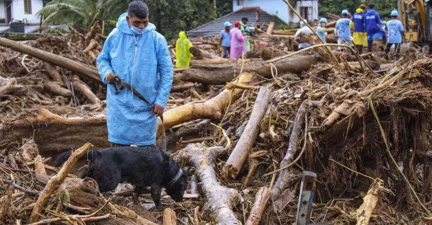 KERALA : मृतकों की संख्या 392 पहुंची, सूचिपारा क्षेत्र में आज विशेष तलाशी अभियान