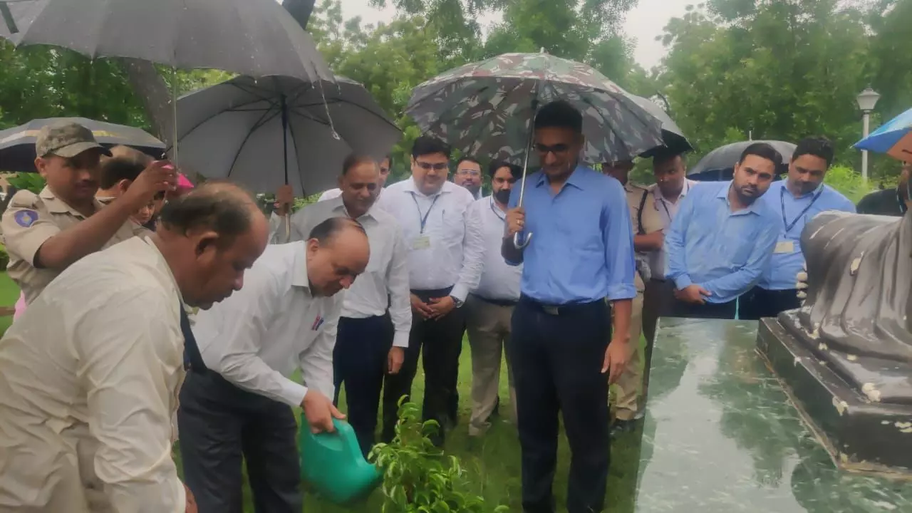 Jodhpur: जिला कलेक्टर ने पौधारोपण कर दिया पर्यावरण संरक्षण का संदेश