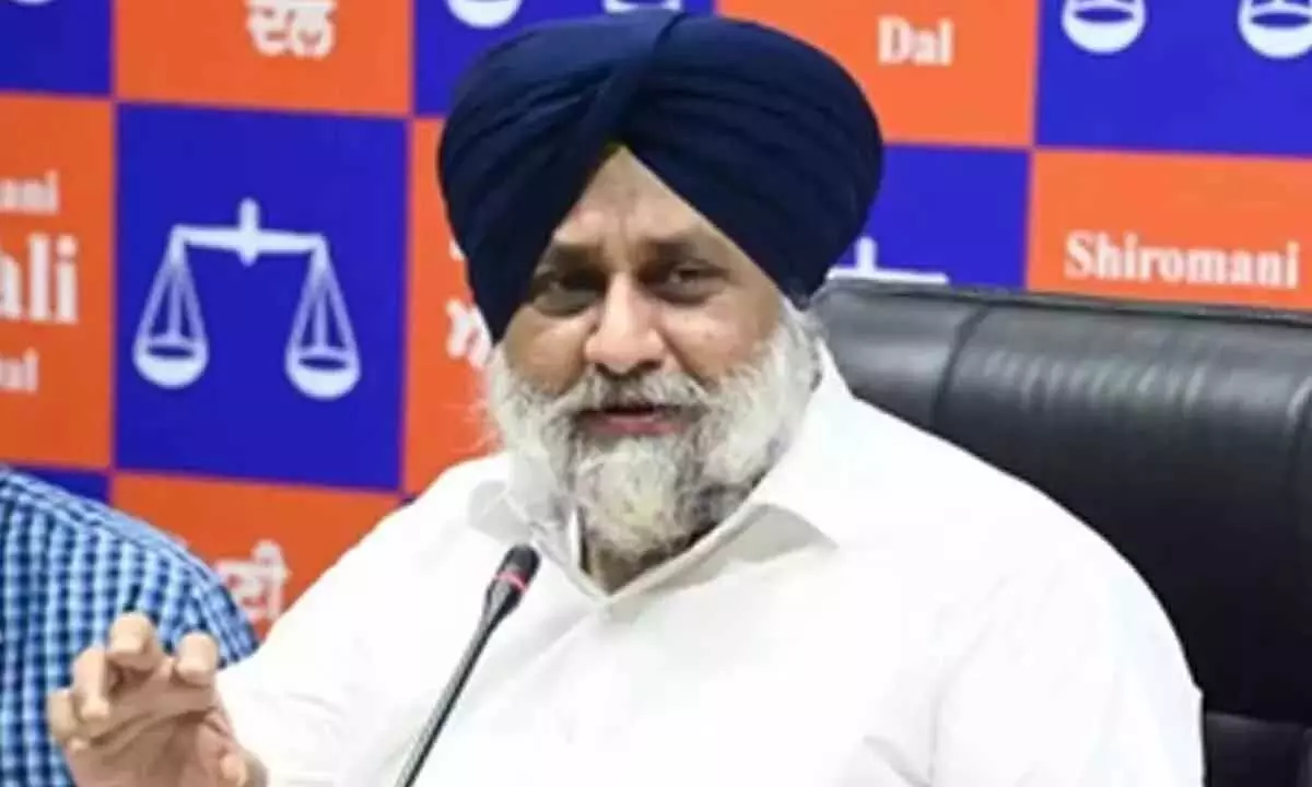 Akali Dal दीर्घकालिक एजेंडा तैयार करने के लिए नवंबर में प्रतिनिधि सत्र आयोजित करेगा