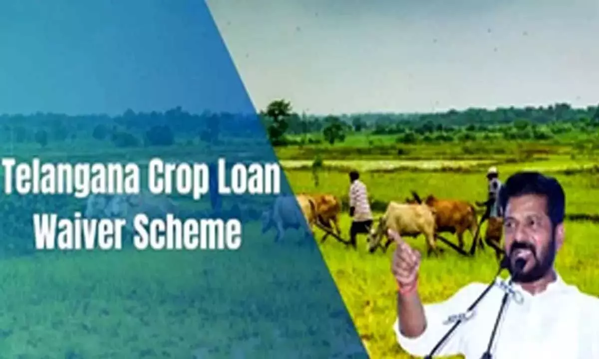 Telangana के मंत्री ने कहा, सभी पात्र किसानों का फसल ऋण माफ किया जाएगा