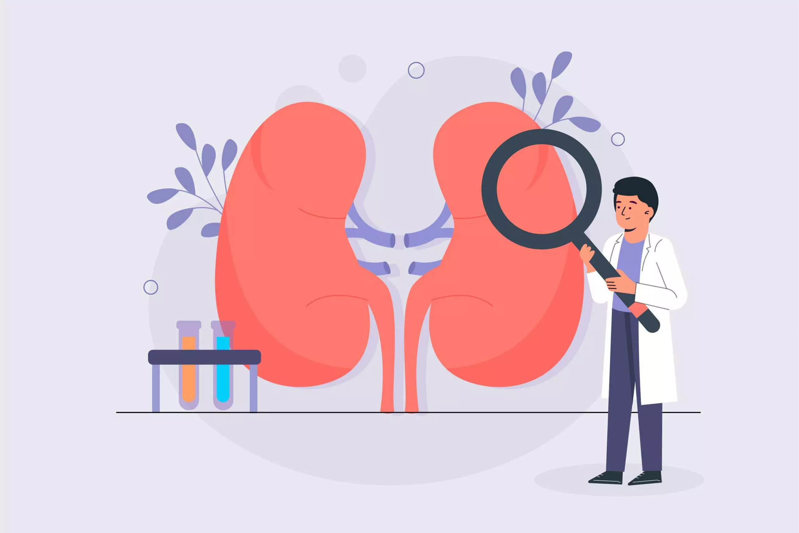 जाने kidney damage होने का लक्षण और उपाय