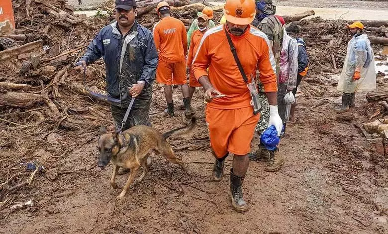 Kerala: वायनाड आपदा में मृतकों की संख्या 413 पहुंची, लापता 152 की तलाश जारी