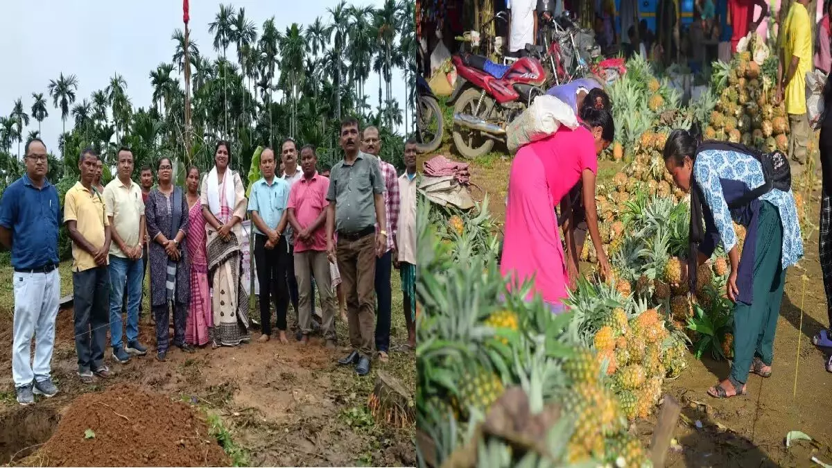 Assam : बोको अनानास प्रसंस्करण इकाई की आधारशिला रखी गई