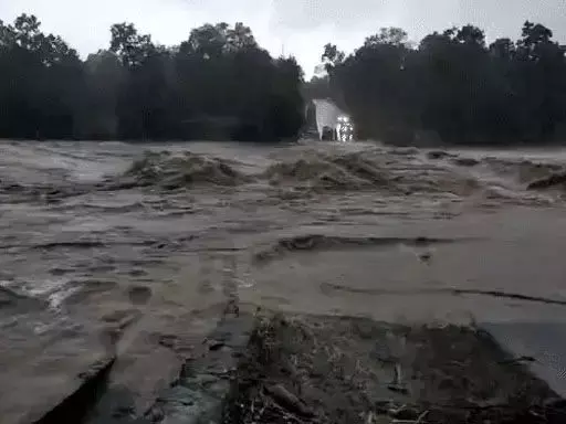 CG BREAKING: दर्री डैम का गेट खोला गया