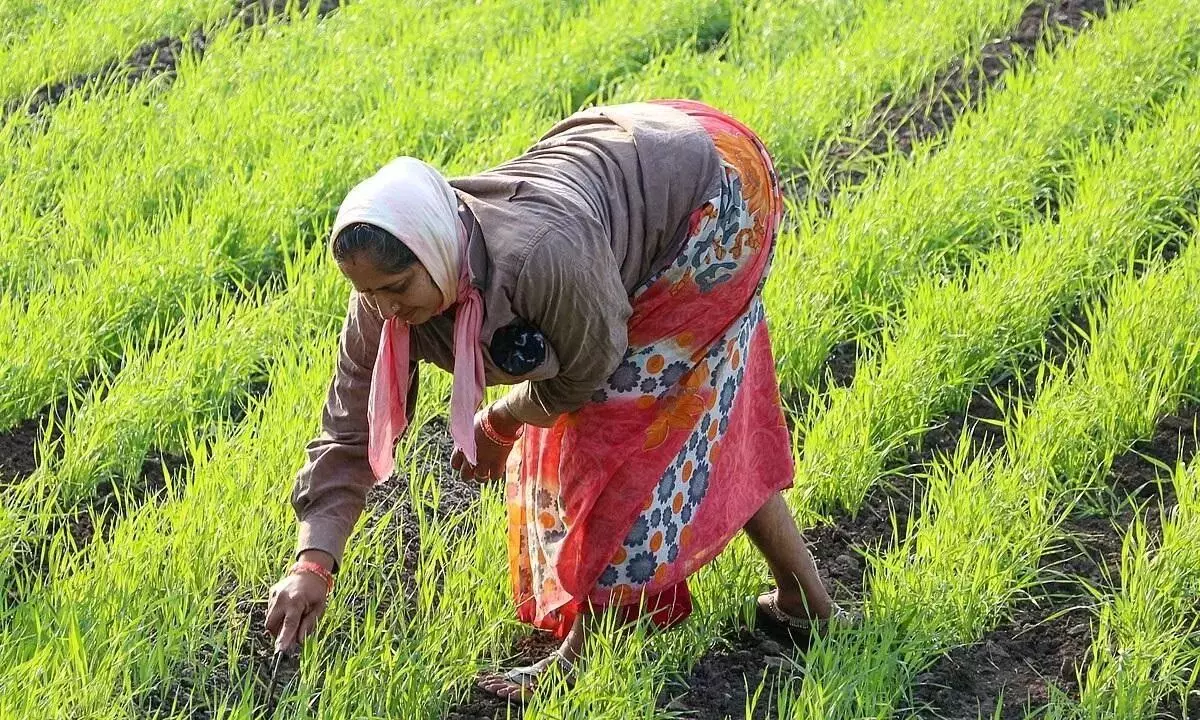 Loan Waiver Scandal: PACS अधिकारियों पर विभागीय कार्रवाई की जाएगी