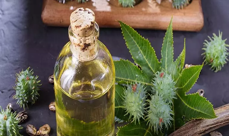 Castor Oil: जाने अरंडी का तेल के फायदे और नुकसान