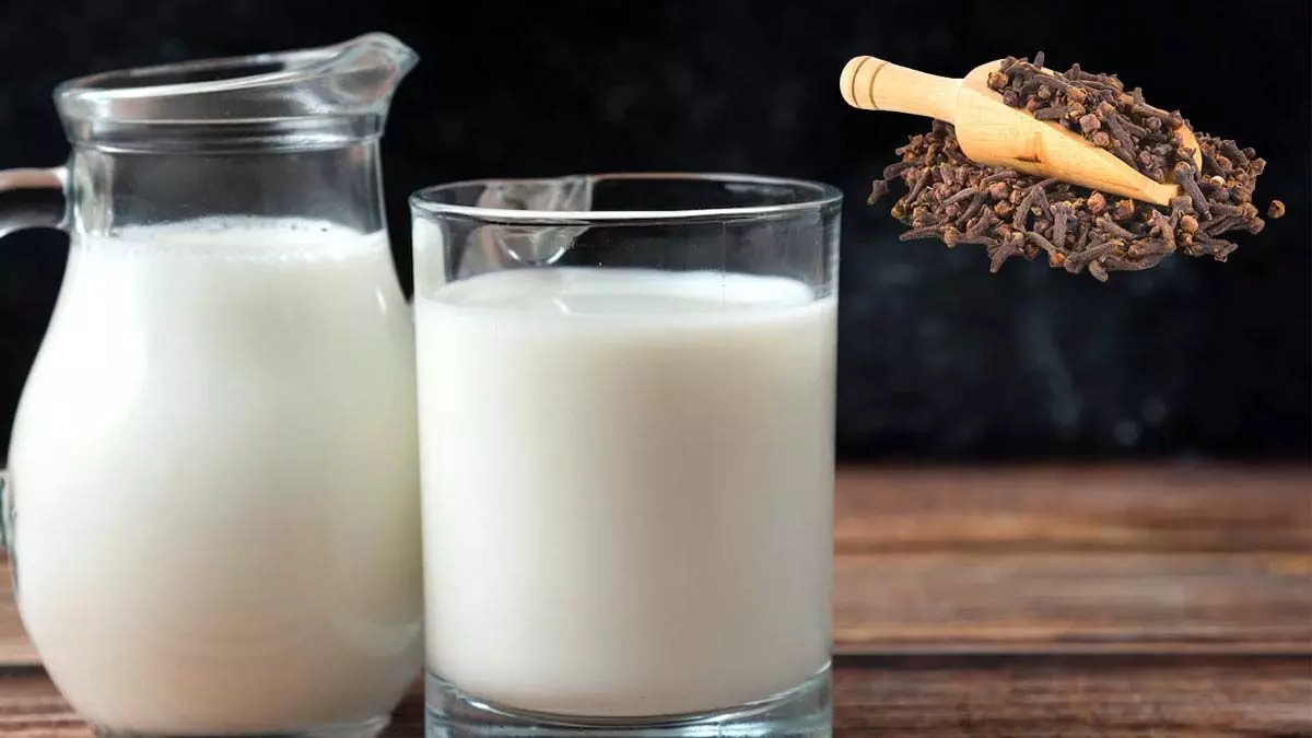 Clove with Milk: जाने लौंग वाली दूध पीने से शरीर को मिलने वाले फायदे