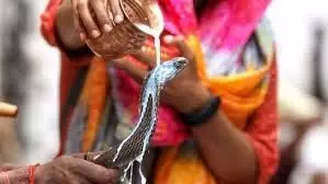 Nag Panchami 2024 Puja Vidhi: सिद्ध योग में आई नाग पंचमी, जानिए पूजा विधि