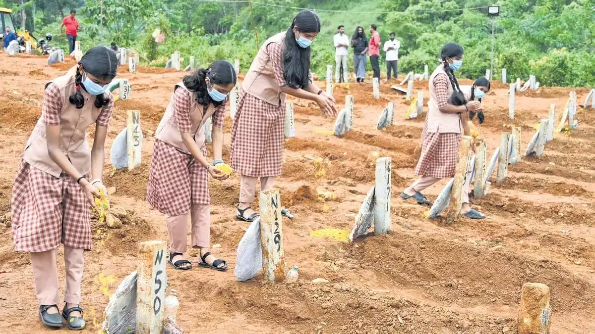 Wayanad landslide : पीड़ितों के लिए व्यापक पुनर्वास पैकेज मांगा गया है, केरल के सीएम ने कहा