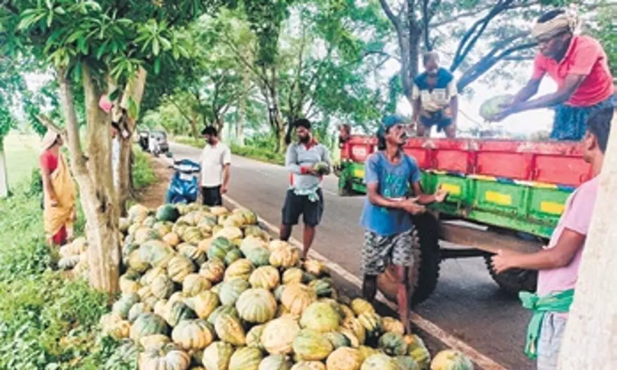 Odisha: अचानक आई बाढ़ के कारण बिक्री में बाधा