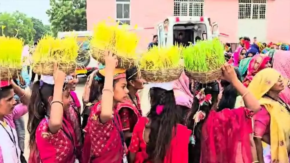 Sabarkantha : न्यू मेट्रोल गांव में राजयक्ष के आदिवासी दिवस समारोह में मौजूद थे सीएम भूपेन्द्र पटेल