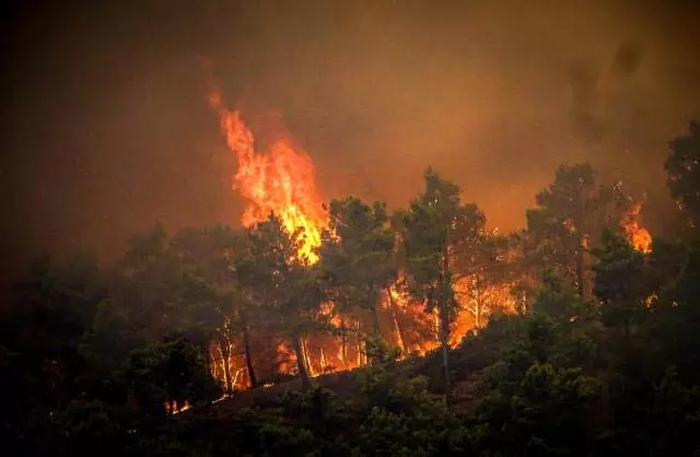 Greek के जंगल में आग जिसके कारण पहाड़ी क्षेत्रों में 8 गाँवों को खाली