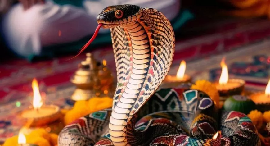 Nag Panchami : नाग पंचमी के दिन करें ये महाउपाय, कालसर्प दोष से मिलेगी मुक्ति