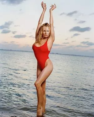 Pamela Anderson ने अपनी प्लेबॉय छवि की तुलना कार्टून चरित्र से की