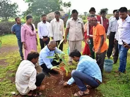 कलेक्टर ने घीना पहुंचकर नीम काॅरीडोर में किया पौधरोपण