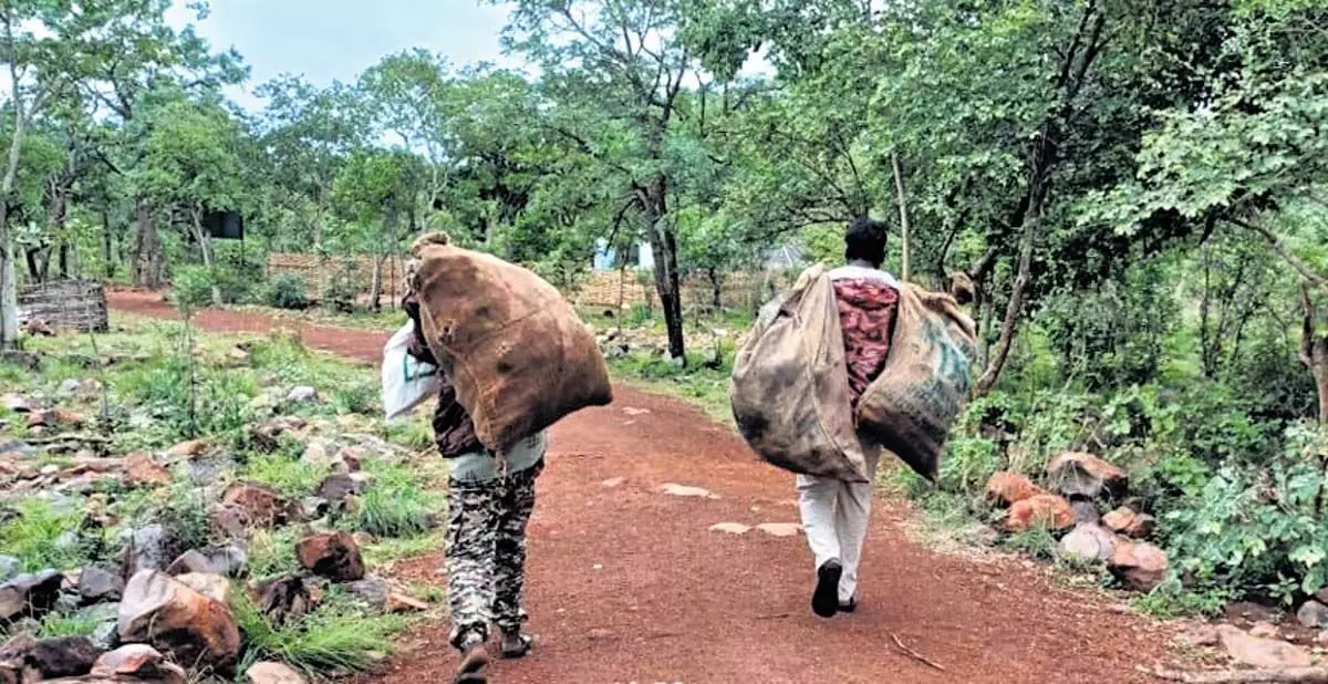 Andhra : श्रीशैलम में पर्यटकों द्वारा कूड़ा-कचरा फैलाने से स्थानीय जैव विविधता को खतरा