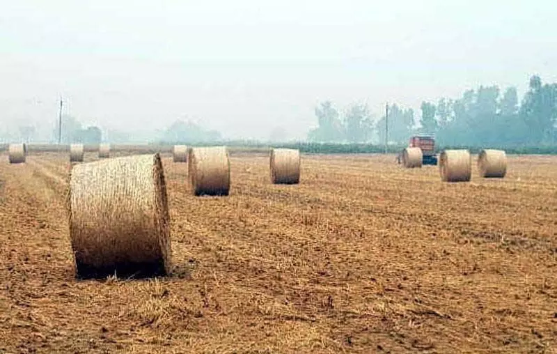 Punjab : बरनाला में धान की पराली को खाद में बदलने का प्लांट लगा