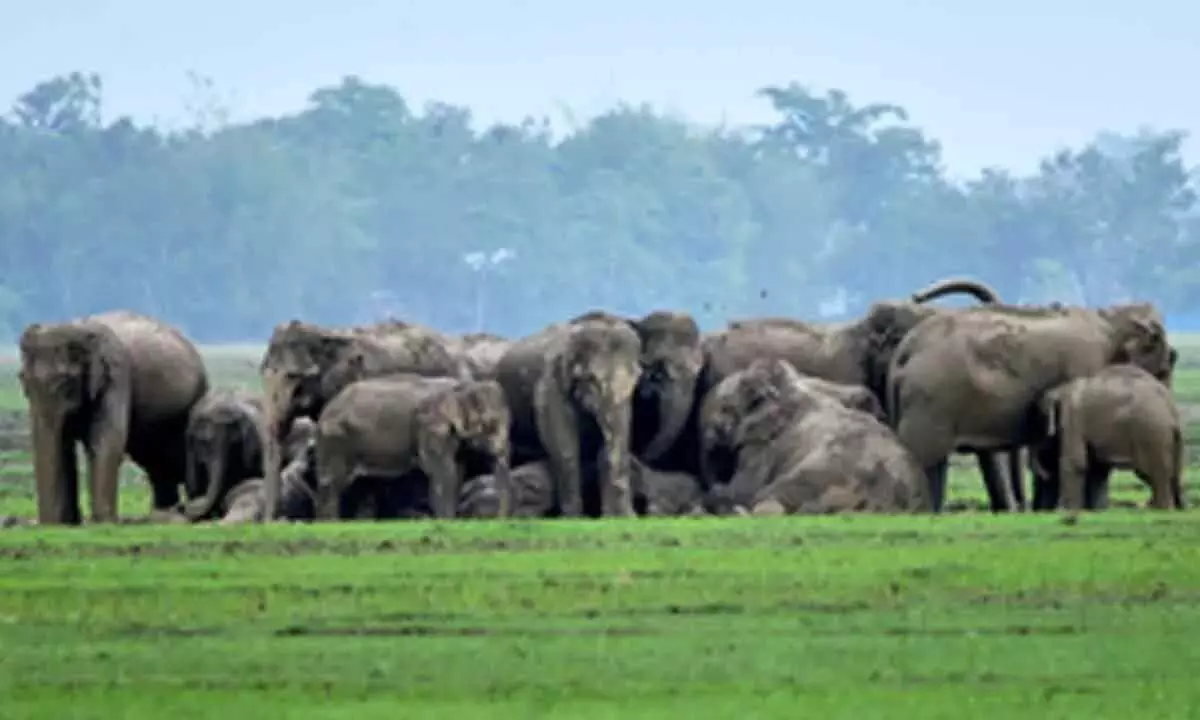 Sri Lanka ने एक राष्ट्रीय सुरक्षा एजेंसी को दी चुनौती