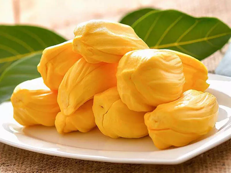 Jackfruit seeds वजन घटाने के लिए रामबाण साबित हुए