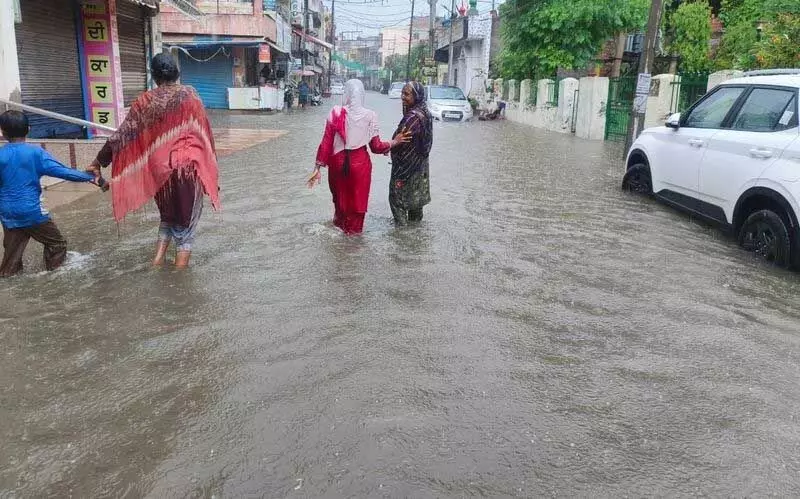 Punjab, हरियाणा के कुछ हिस्सों में बारिश