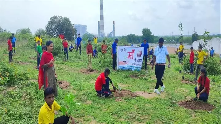 Latehar: राजधानी यादव ने मां की स्मृति में किया पौधरोपण, लोगों से भी की अपील