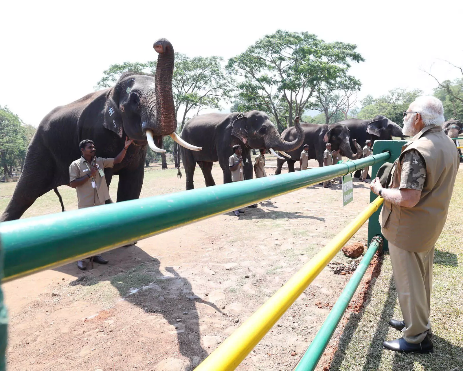 World Elephant Day: मोदी ने कहा हाथियों की संख्या में बढ़ोतरी